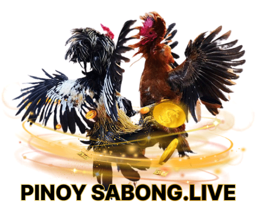 Pinoy sabong.live 001.png