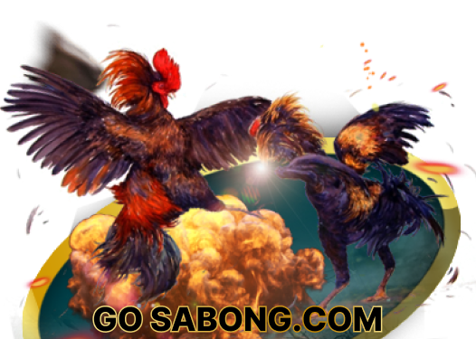 go sabong.com001.png